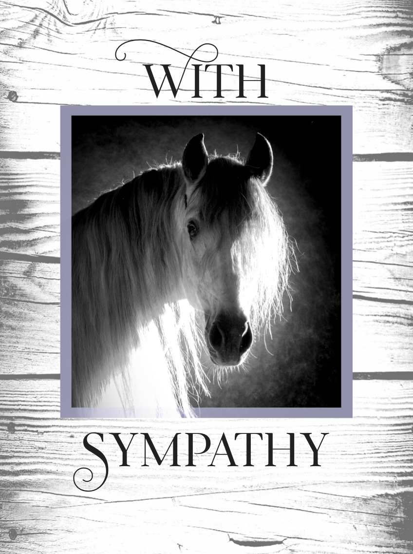 Horse Sympathy Card: NEW with Sympathy