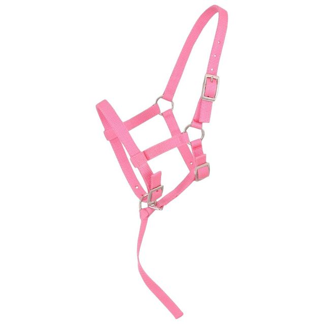 Tough 1 - Adjustable Foal Halter (Multiple Colors Available)