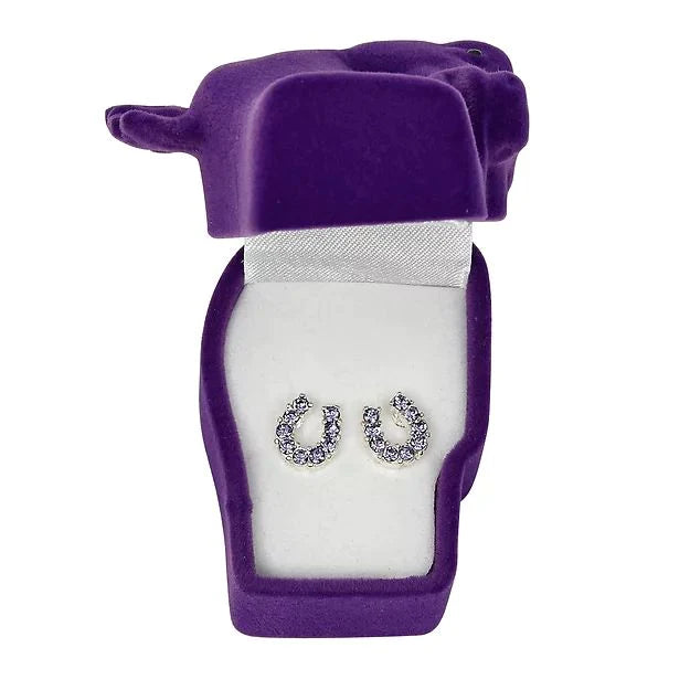 AWST Int'l Rhinestones Horseshoe Earrings Giftbox