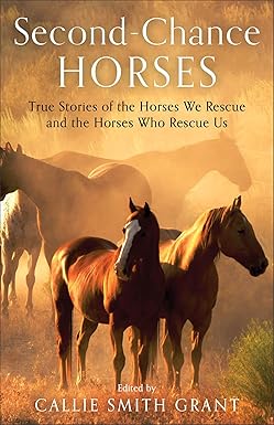 Second-Chance Horses: True Stories of the Horses We Rescue and the Horses Who Rescue Us (Book)