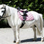 HKM - Mini/Shetland Pony Saddle Set (Beginner Saddle)