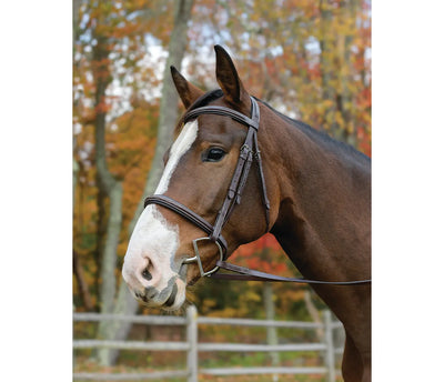 Shires Equestrian - Avignon Nashville Bridle (Multiple Sizes Available)