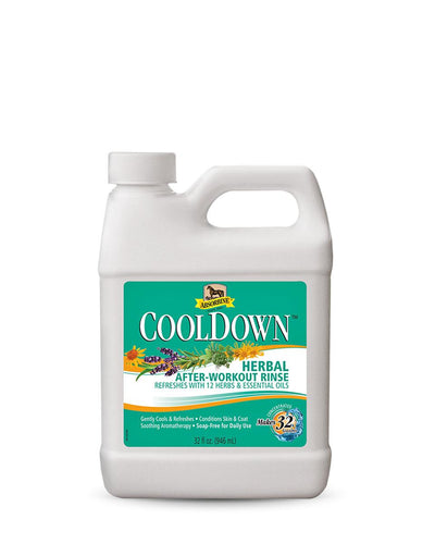 Absorbine CoolDown - Herbal After Workout Rinse