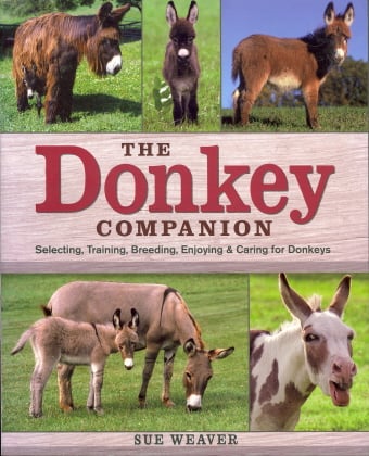 The Donkey Companion (Book)