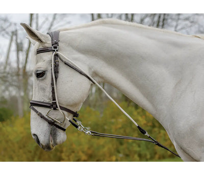 Shires Equestrian - Avignon De Gogue Training Aid /COB