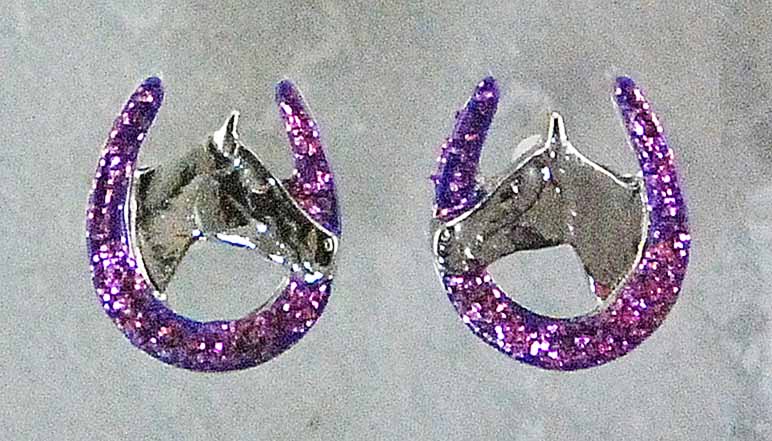 The Finishing Touch - Glitter Horseshoe Earrings