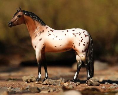 Breyer The Ideal Series | Pony of the Americas 1883