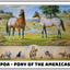 Breyer The Ideal Series | Pony of the Americas 1883