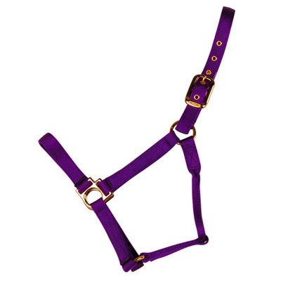 Econo Halter 8-11Q (Medium) (Multiple Colors Available)