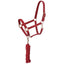 Tough 1 - Padded Horse Halter with Antique Hardware and Lead Rope