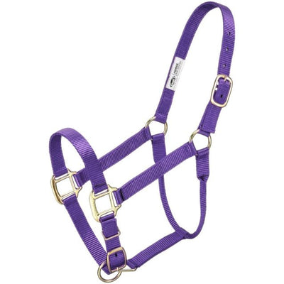 Tough 1 - Premium Halter (Horse) (Multiple Colors Available)