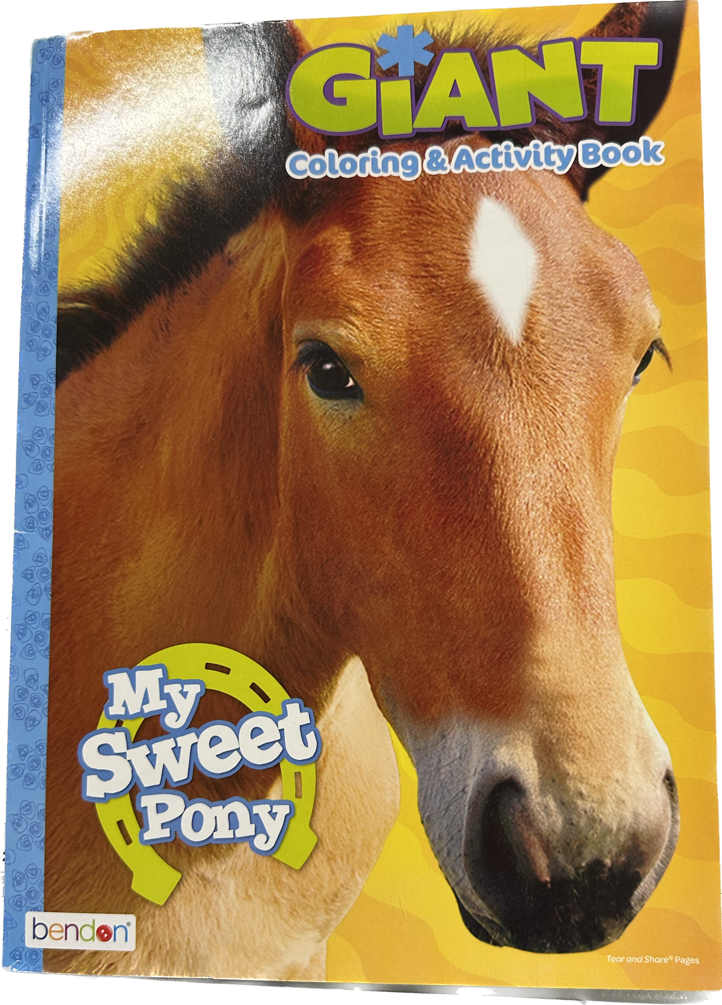 My Sweet Pony Giant Coloring & Activity Book