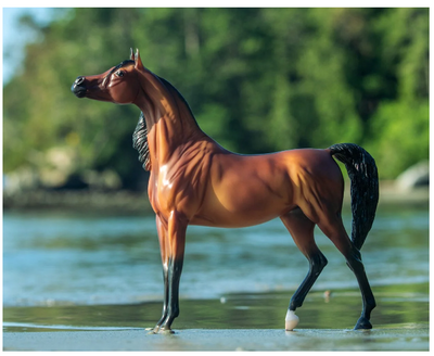 Breyer RD Marciea Bey | Champion Arabian Mare 1873