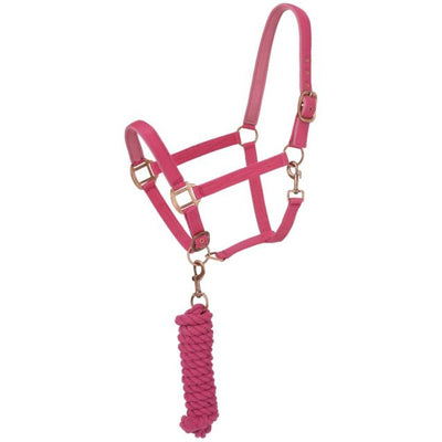 Tough 1 - Padded Horse Halter with Antique Hardware and Lead Rope