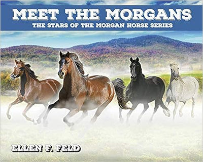 Meet The Morgans: The Stars of the Morgan Horse Series (Morgan Horse Series) (Book)