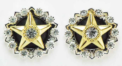 Post Star Earrings