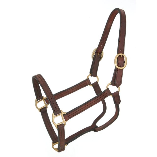 Royal King - Leather Track Halter (Multiple Sizes Available)