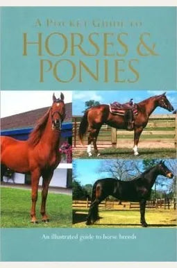 A Pocket Guide To Horses And Ponies: An Illustrated Guide To Horse Breeds (Used Book)