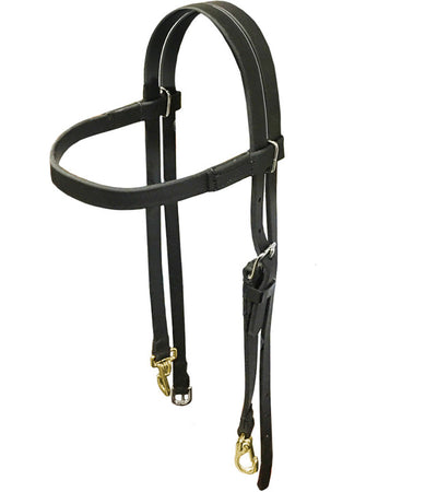 Beta Training Headstall