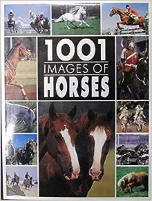 1001 Images Of Horses (Used Book)