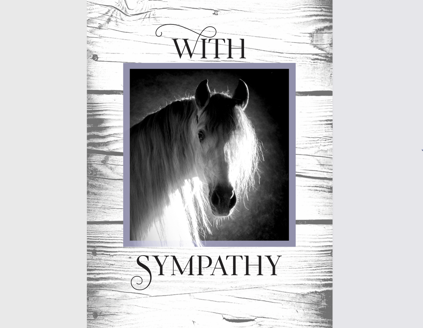 Horse Sympathy Card: NEW with Sympathy