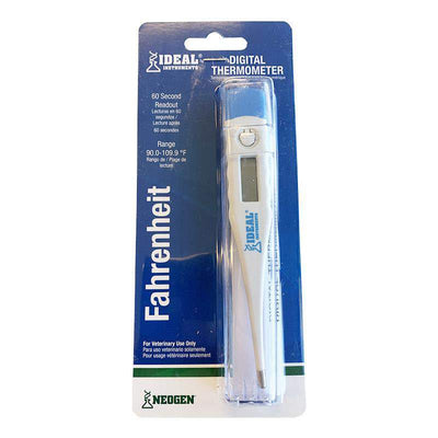 Ideal Digital Thermometer