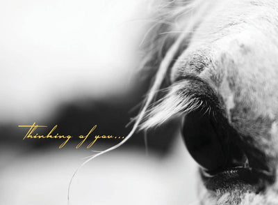 Horse Sympathy Card: Thinking of you