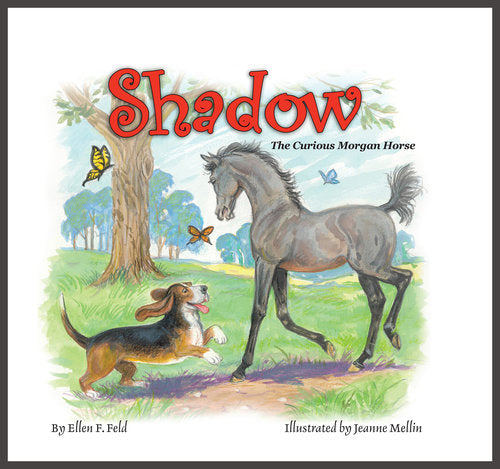 Shadow: The Curious Morgan Horse (Book)