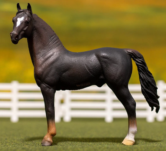 Breyer Chestnut Morgan Stallion