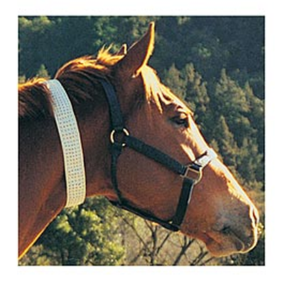 R&R Group Fly Collar For Horses