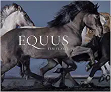 Equus (Mini) Hardcover (Book)