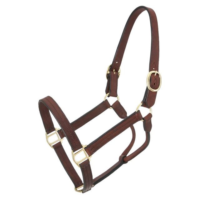 Royal King - Leather Stable Halter