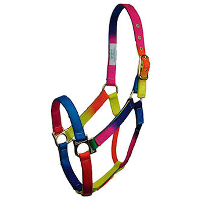 Econo Halter 5-80Q (Small) Rainbow