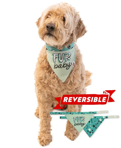 Lazy One "Fur Baby" Dog Bandana